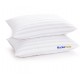 Market Fairy 16x24 Inch Standard Size Fiber Pillow - Soft and Supportive Sleep Pillow for Neck (Pack of 2) Market Fairy 16x24 Inch Standard Size Fiber Pillow - Soft and Supportive Sleep Pillow for Neck (Pack of 2)